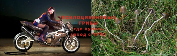 соль курить ск Нея