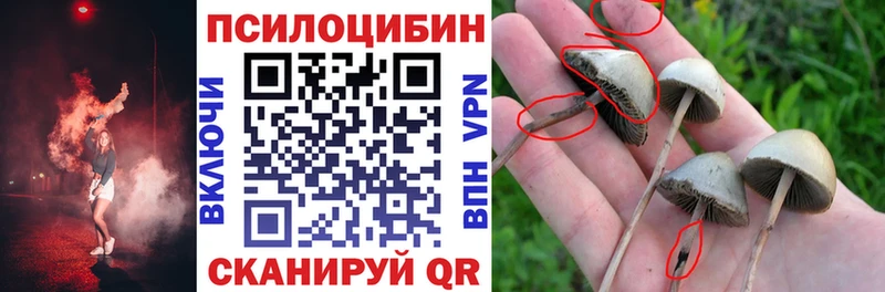 Купить  Раменское  Галлюциногенные грибы Magic Shrooms 